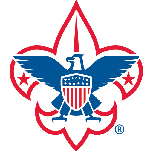 logo color